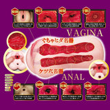 NPG - Masterpiece Proof File No 014 Koyoi Konan Japanese Meiki Onahole (Beige) NPG1290 CherryAffairs