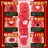 NPG - Proof of a Masterpiece 16 Kanna Seto Realistic 3D Torso Masturbator (Beige) NPG1339 CherryAffairs